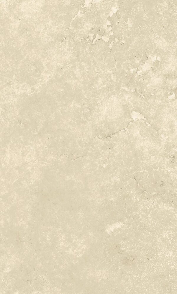 PT02-20BN (Bullnose) - 图片 11