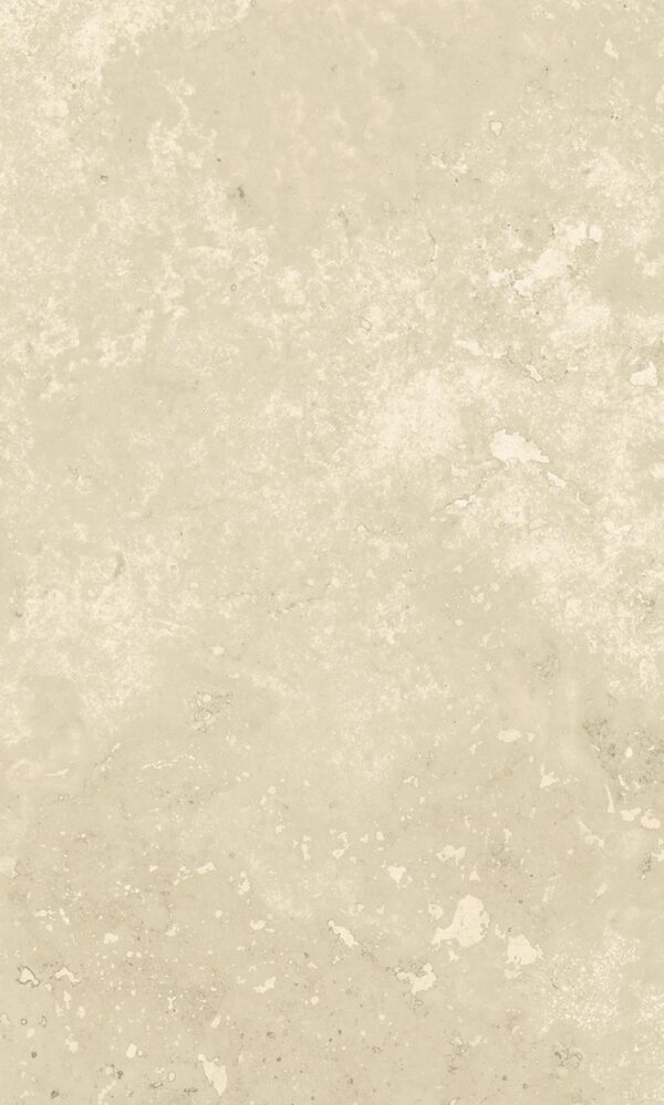 PT02-20BN (Bullnose) - 图片 2