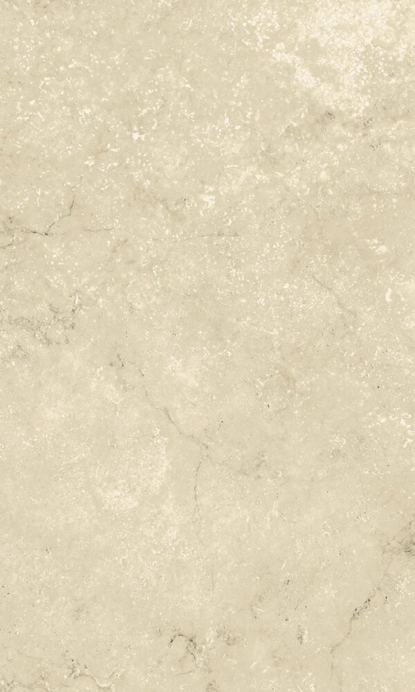 PT02-20BN (Bullnose) - 图片 7