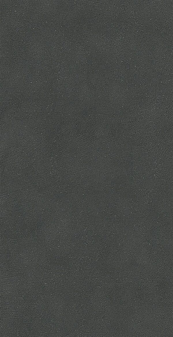 SP030324 - 图片 4