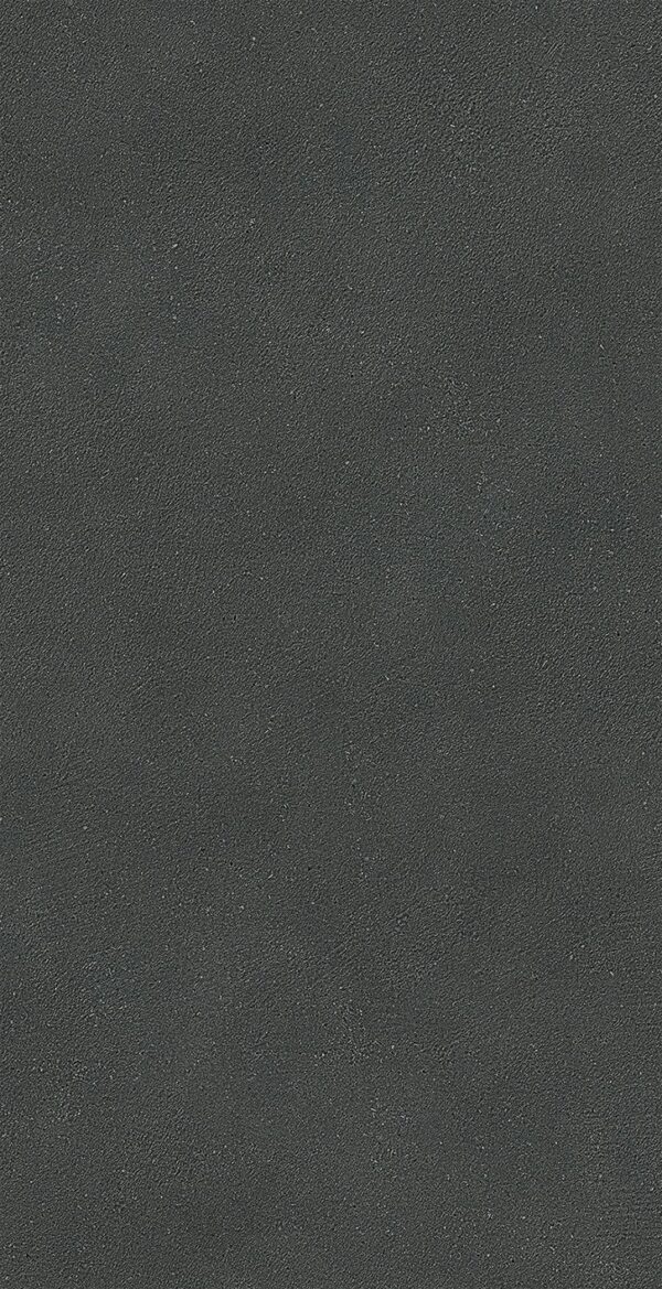 SP030324 - 图片 5