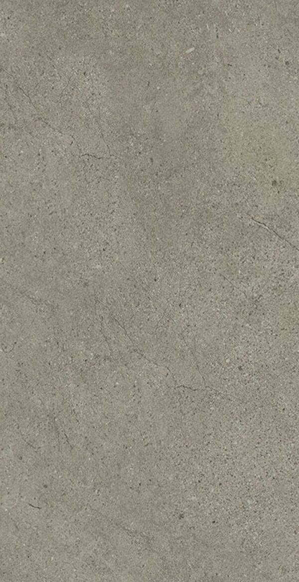 SP0450 - 图片 2