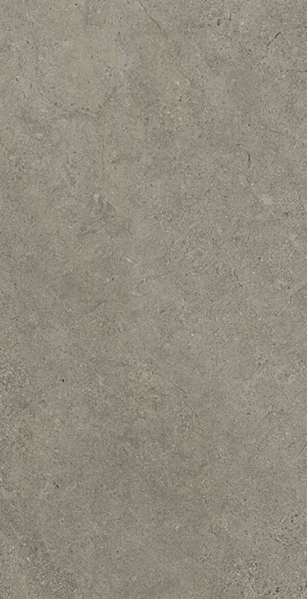 SP0450 - 图片 4