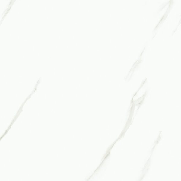 T811 - 图片 2